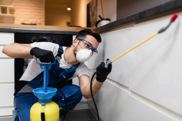 Best Pest Inspection Near Me  in Tenino, WA