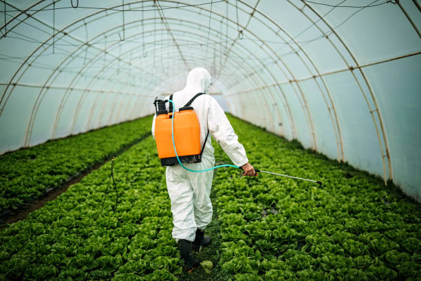 Best Local Pest Control Services  in Tenino, WA