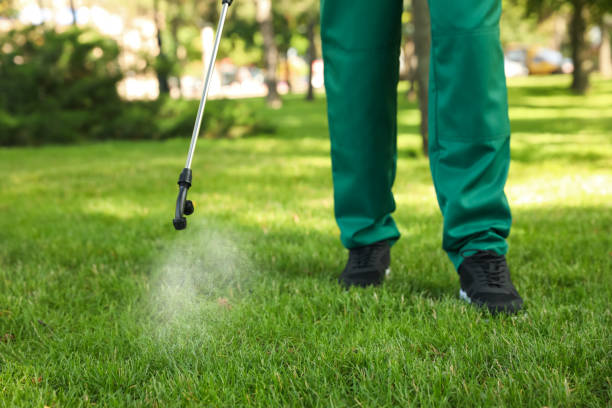 Best Pest Control Near Me  in Tenino, WA