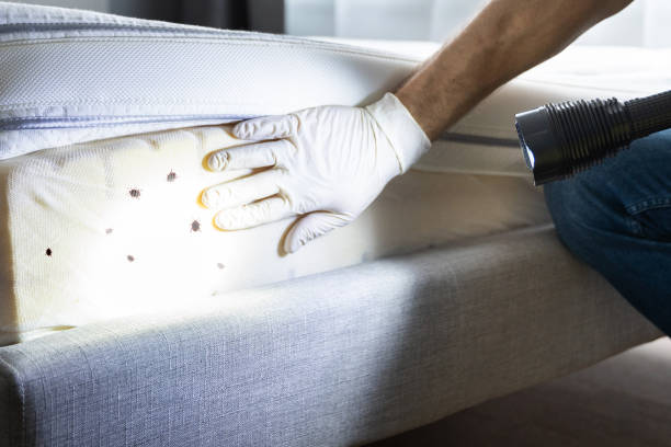 Best Pest Control Near Me  in Tenino, WA