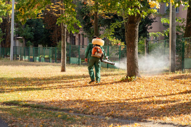 Best Best Pest Control Companies  in Tenino, WA
